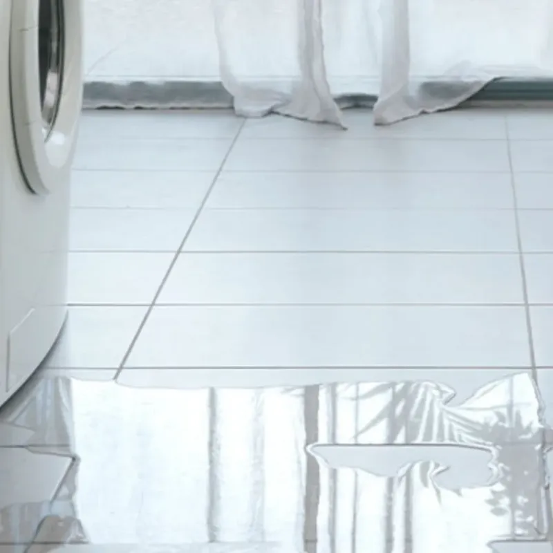 Appliance Leak Cleanup in Burlington, KS