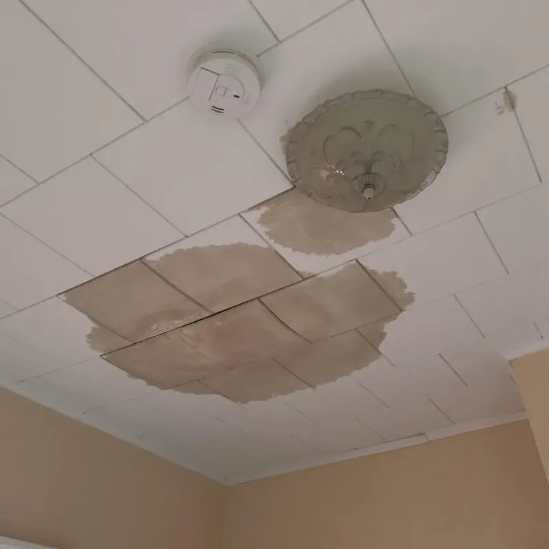 Ceiling Water Damage Repair in Burlington, KS