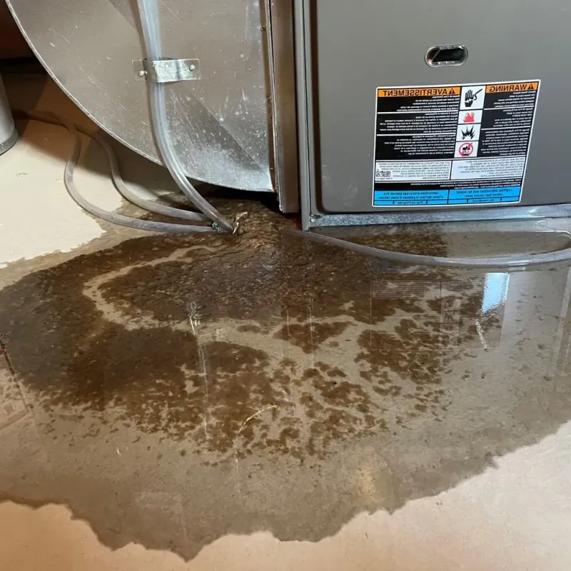 Pipe Burst and Leak Restoration in Burlington, KS