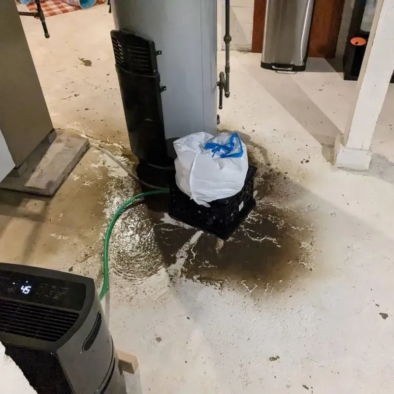 Sewage Backup Cleanup Service in Burlington, KS